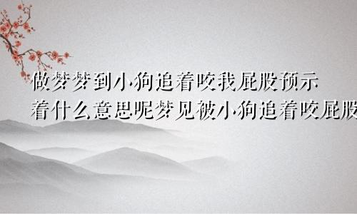 做梦梦到小狗追着咬我屁股预示着什么意思呢梦见被小狗追着咬屁股