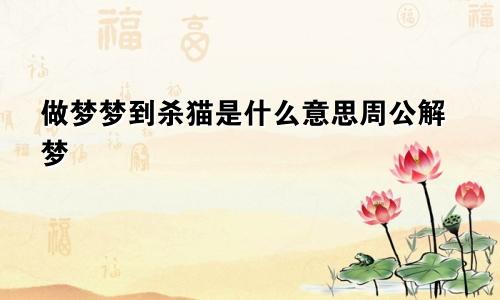 做梦梦到杀猫是什么意思周公解梦