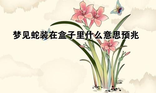 梦见蛇装在盒子里什么意思预兆