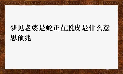 梦见老婆是蛇正在脱皮是什么意思预兆