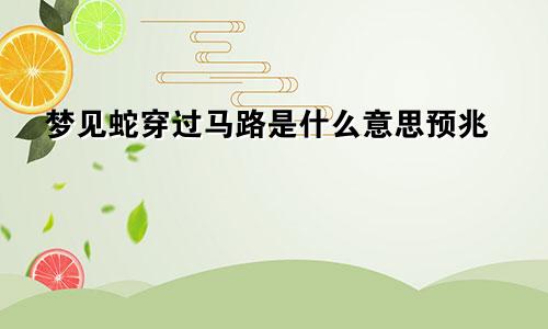 梦见蛇穿过马路是什么意思预兆