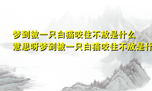 梦到被一只白猫咬住不放是什么意思呀梦到被一只白猫咬住不放是什么意思呢