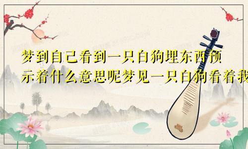 梦到自己看到一只白狗埋东西预示着什么意思呢梦见一只白狗看着我