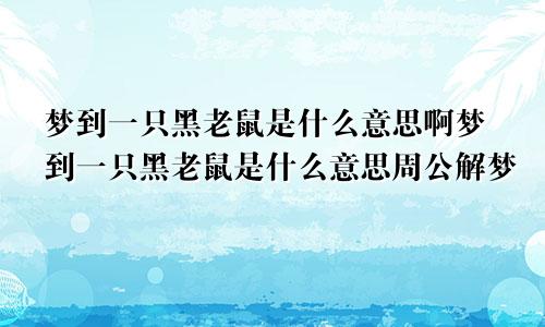 梦到一只黑老鼠是什么意思啊梦到一只黑老鼠是什么意思周公解梦