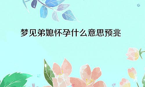 梦见弟媳怀孕什么意思预兆