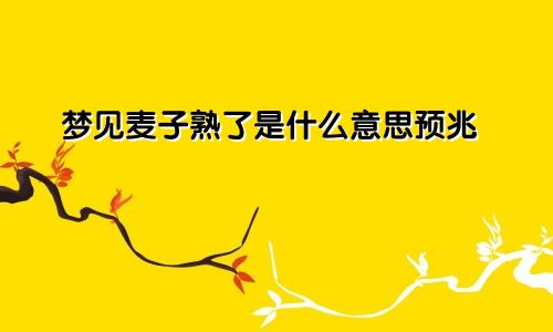 梦见麦子熟了是什么意思预兆