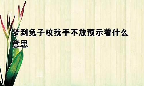 梦到兔子咬我手不放预示着什么意思