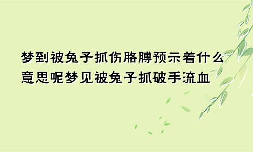 梦到被兔子抓伤胳膊预示着什么意思呢梦见被兔子抓破手流血