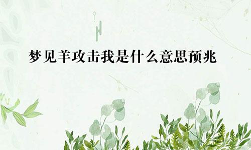 梦见羊攻击我是什么意思预兆