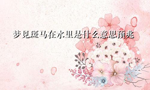 梦见斑马在水里是什么意思预兆