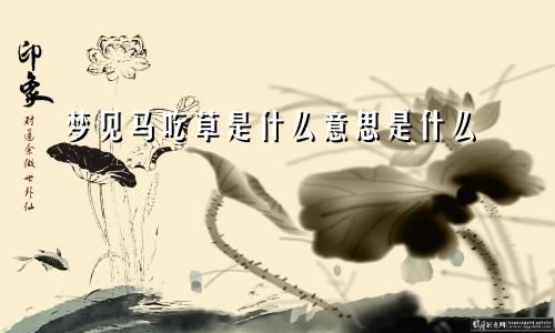 梦见马吃草是什么意思是什么