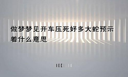 做梦梦见开车压死好多大蛇预示着什么意思