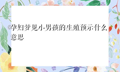 孕妇梦见小男孩的生殖预示什么意思