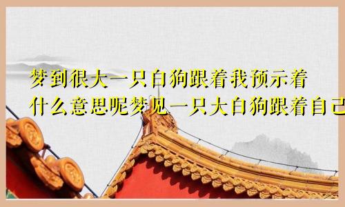 梦到很大一只白狗跟着我预示着什么意思呢梦见一只大白狗跟着自己是什么意思