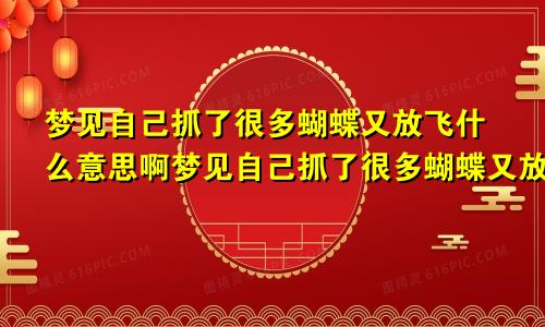 梦见自己抓了很多蝴蝶又放飞什么意思啊梦见自己抓了很多蝴蝶又放飞什么意思呀