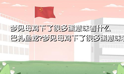 梦见母鸡下了很多蛋意味着什么巴扎鱼蛇?梦见母鸡下了很多蛋意味着什么呢