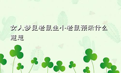 女人梦见老鼠生小老鼠预示什么意思