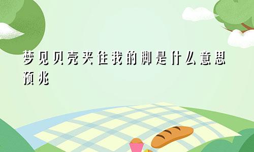 梦见贝壳夹住我的脚是什么意思预兆