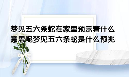 梦见五六条蛇在家里预示着什么意思呢梦见五六条蛇是什么预兆