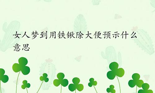 女人梦到用铁锹除大便预示什么意思