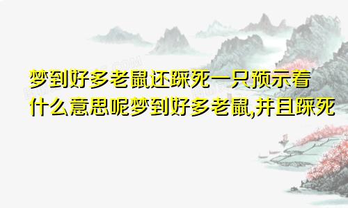 梦到好多老鼠还踩死一只预示着什么意思呢梦到好多老鼠,并且踩死