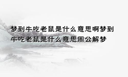 梦到牛吃老鼠是什么意思啊梦到牛吃老鼠是什么意思周公解梦