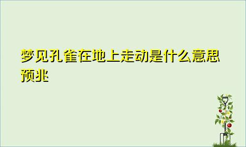 梦见孔雀在地上走动是什么意思预兆