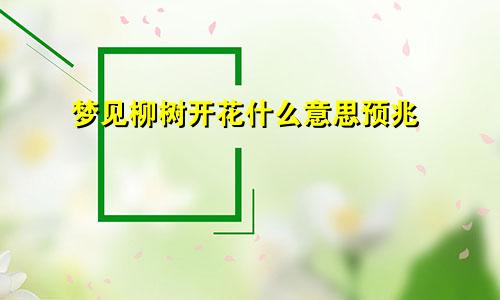 梦见柳树开花什么意思预兆