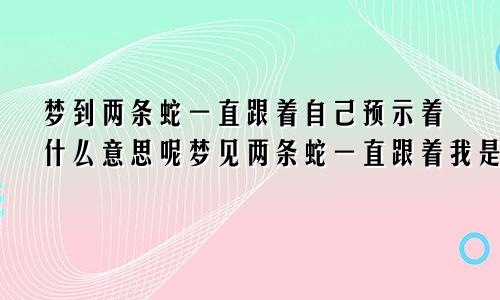 梦到两条蛇一直跟着自己预示着什么意思呢梦见两条蛇一直跟着我是什么意思