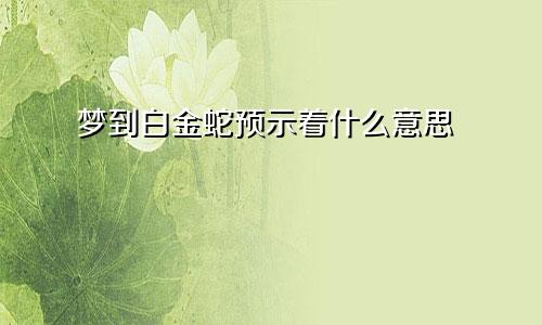 梦到白金蛇预示着什么意思