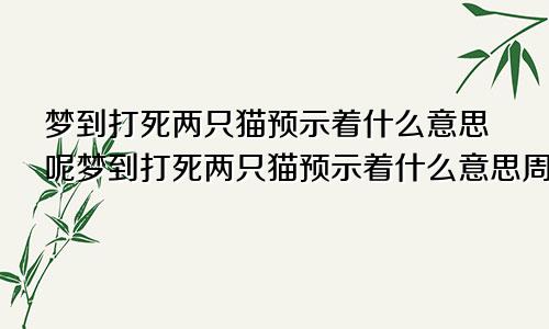 梦到打死两只猫预示着什么意思呢梦到打死两只猫预示着什么意思周公解梦