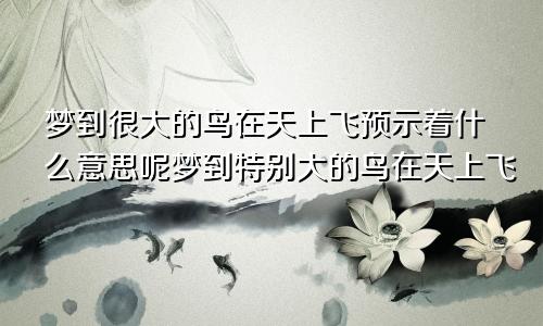 梦到很大的鸟在天上飞预示着什么意思呢梦到特别大的鸟在天上飞