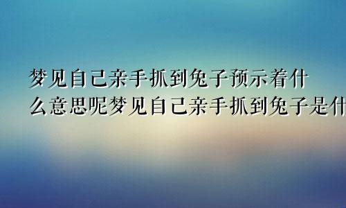 梦见自己亲手抓到兔子预示着什么意思呢梦见自己亲手抓到兔子是什么意思