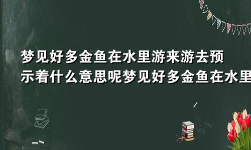 梦见好多金鱼在水里游来游去预示着什么意思呢梦见好多金鱼在水里游是什么意思