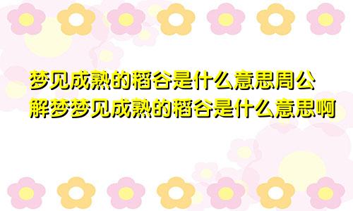 梦见成熟的稻谷是什么意思周公解梦梦见成熟的稻谷是什么意思啊