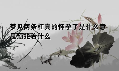 梦见两条杠真的怀孕了是什么意思预兆着什么