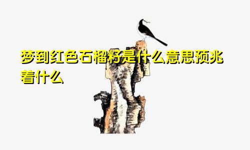 梦到红色石榴籽是什么意思预兆着什么