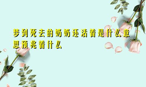 梦到死去的奶奶还活着是什么意思预兆着什么