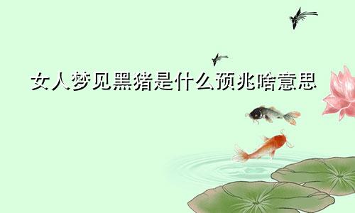 女人梦见黑猪是什么预兆啥意思