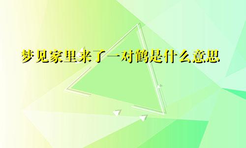 梦见家里来了一对鹤是什么意思