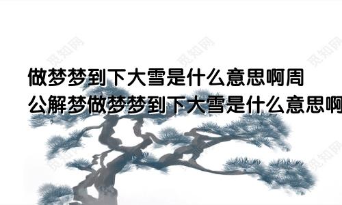 做梦梦到下大雪是什么意思啊周公解梦做梦梦到下大雪是什么意思啊女生