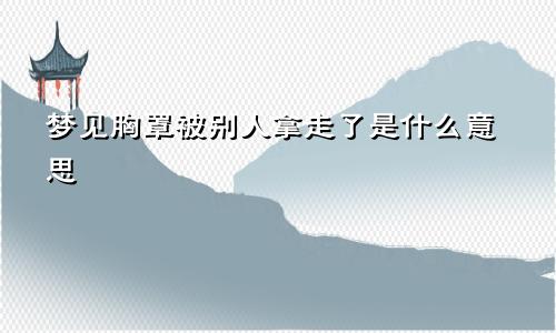 梦见胸罩被别人拿走了是什么意思