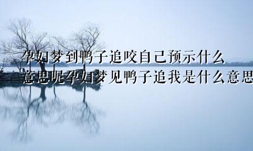 孕妇梦到鸭子追咬自己预示什么意思呢孕妇梦见鸭子追我是什么意思