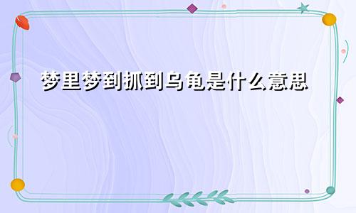 梦里梦到抓到乌龟是什么意思