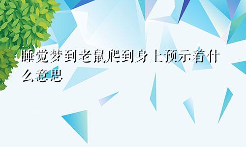 睡觉梦到老鼠爬到身上预示着什么意思