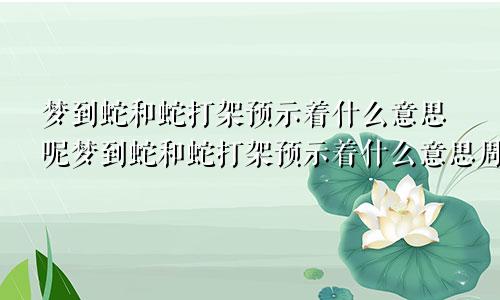 梦到蛇和蛇打架预示着什么意思呢梦到蛇和蛇打架预示着什么意思周公解梦