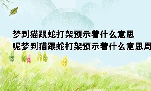 梦到猫跟蛇打架预示着什么意思呢梦到猫跟蛇打架预示着什么意思周公解梦