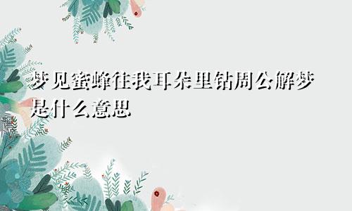 梦见蜜蜂往我耳朵里钻周公解梦是什么意思