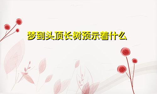 梦到头顶长树预示着什么