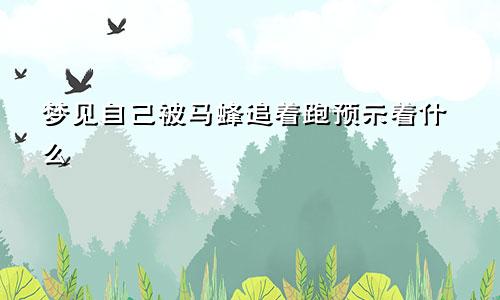 梦见自己被马蜂追着跑预示着什么